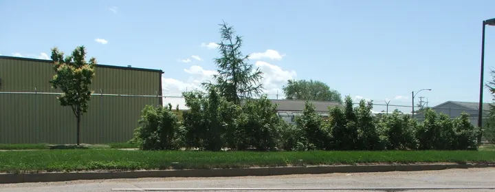 Ground-level photograph of 17th Street Linkage from the city park map.
