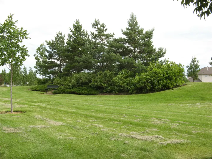 Ground-level photograph of Avalon Park from the city park map.