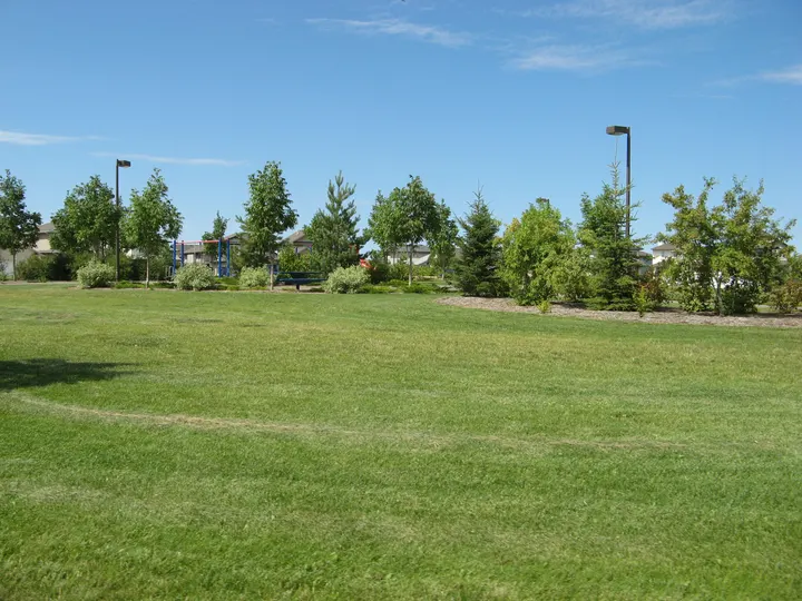 Ground-level photograph of Beckett Green Park from the city park map.