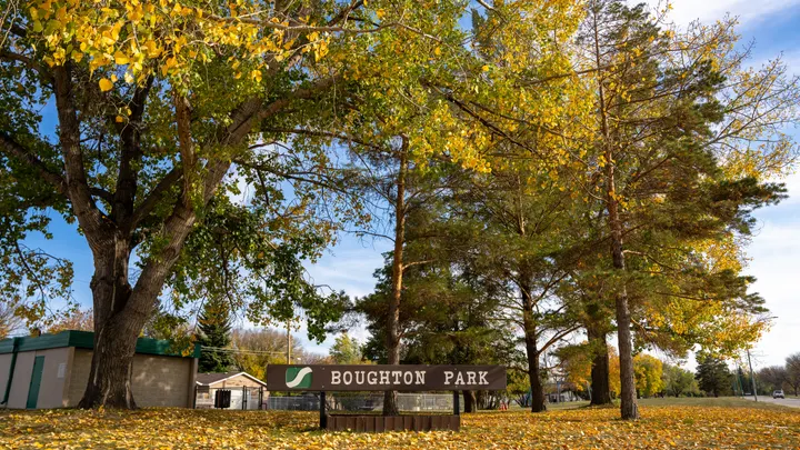 Ground-level photograph of Boughton Park from the city park map.