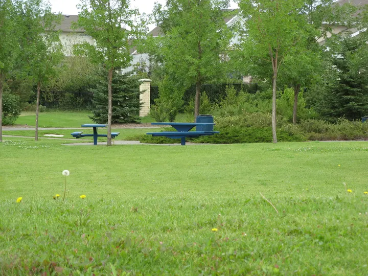Ground-level photograph of Budz Green Park from the city park map.