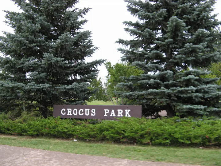 Ground-level photograph of Crocus Park from the city park map.