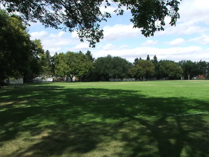 Ground-level photograph of Cumberland Park from the city park map.