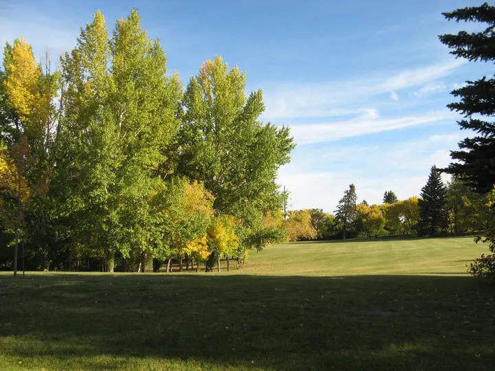 Ground-level photograph of Diefenbaker Park from the city park map.