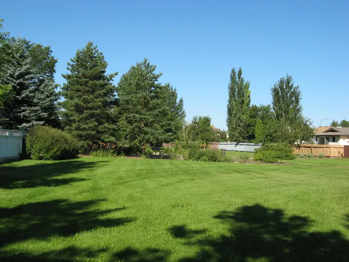 Ground-level photograph of Forest Grove Linkage Park from the city park map.
