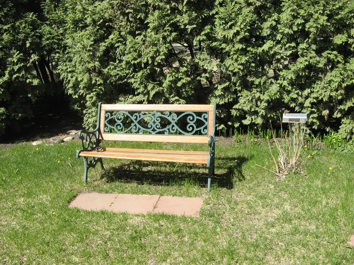 Ground-level photograph of Fred Mitchell Memorial Park from the city park map.