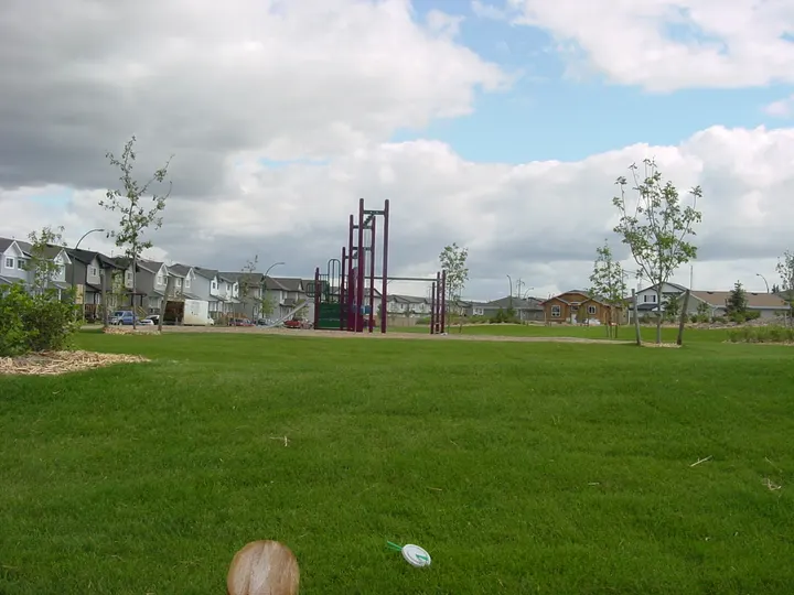 Ground-level photograph of Kopko Park from the city park map.