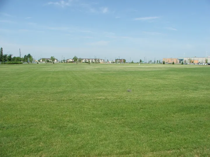 Ground-level photograph of Morris T. Cherneskey Park Central from the city park map.