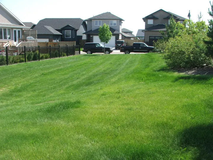 Ground-level photograph of Owen Mann Park from the city park map.