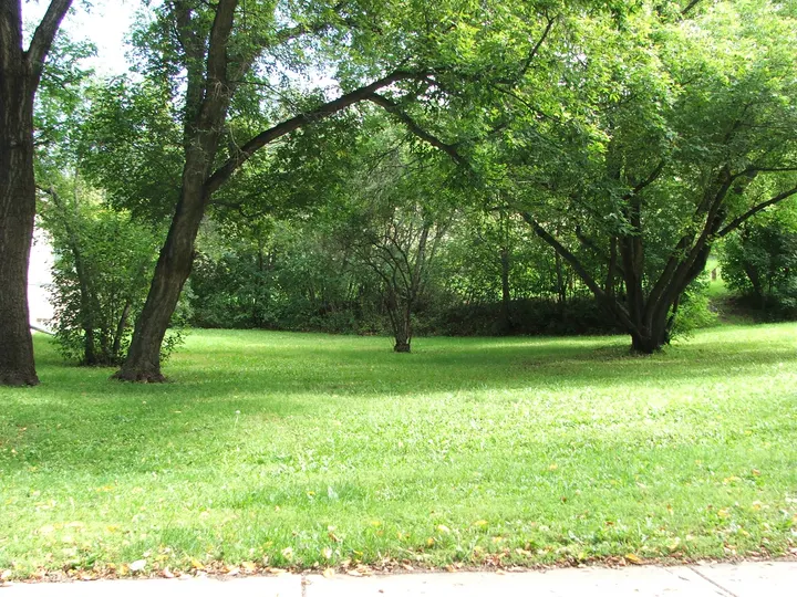 Ground-level photograph of Poplar Park from the city park map.