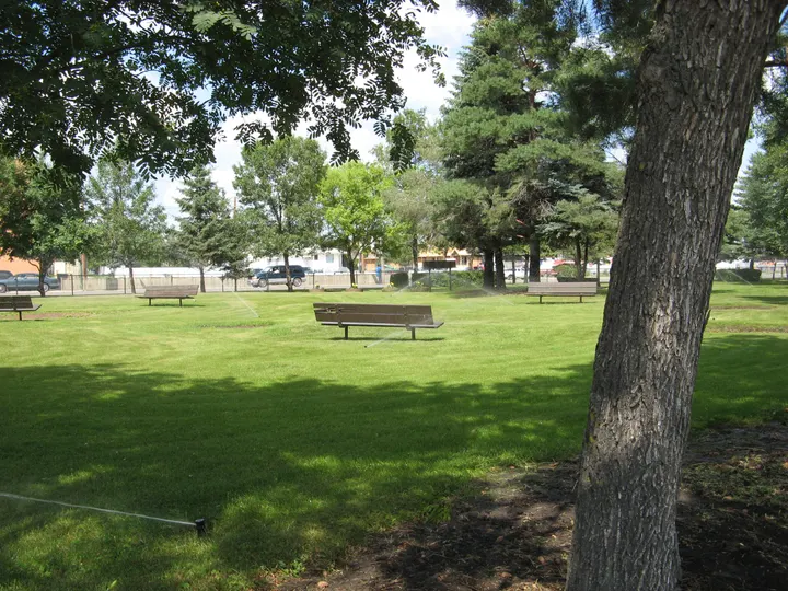 Ground-level photograph of Steve Patola Park from the city park map.