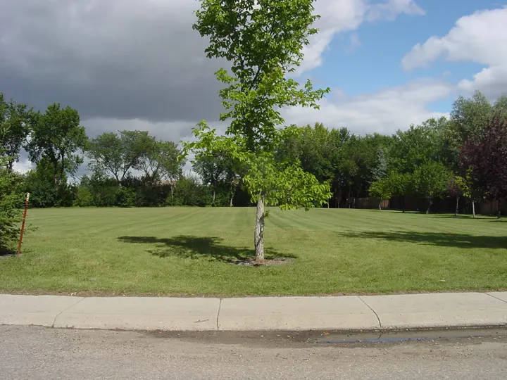 Ground-level photograph of TJ Quigley Park from the city park map.